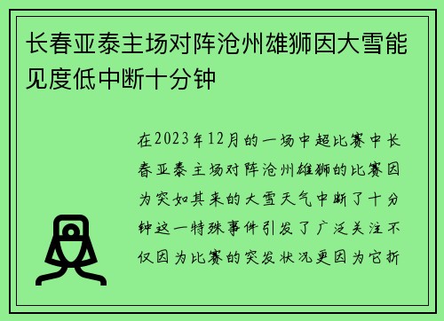 长春亚泰主场对阵沧州雄狮因大雪能见度低中断十分钟
